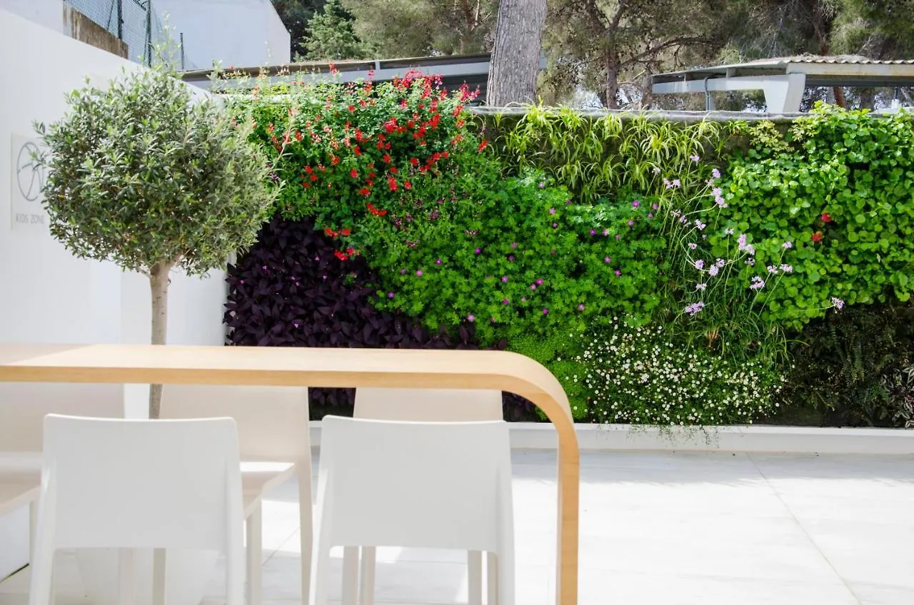 Hotel Anfora Ibiza Es Cana