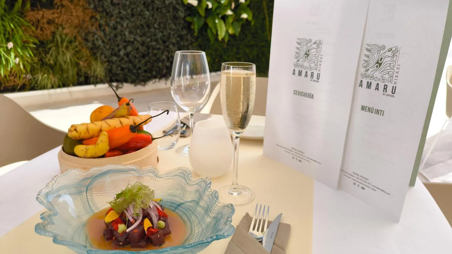 Hotel Anfora Ibiza Es Cana