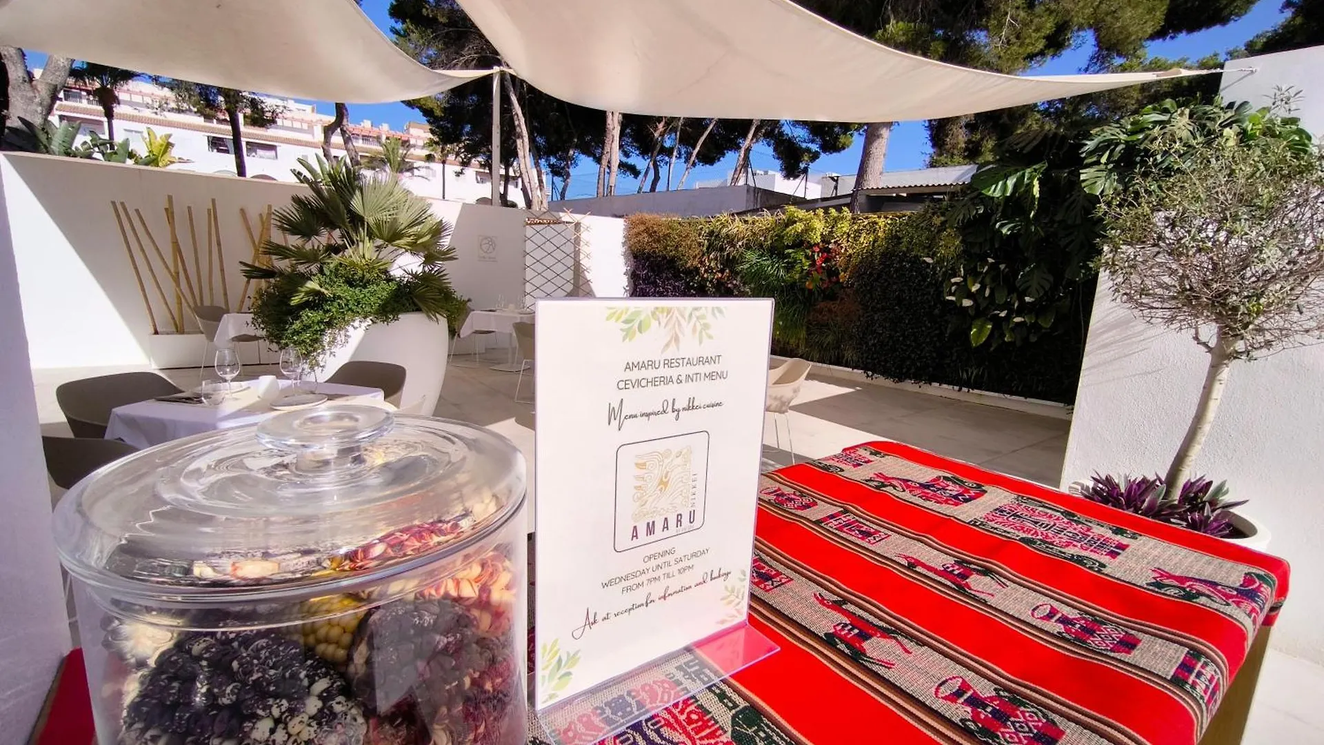 ****  Hotel Anfora Ibiza Es Cana Španělsko
