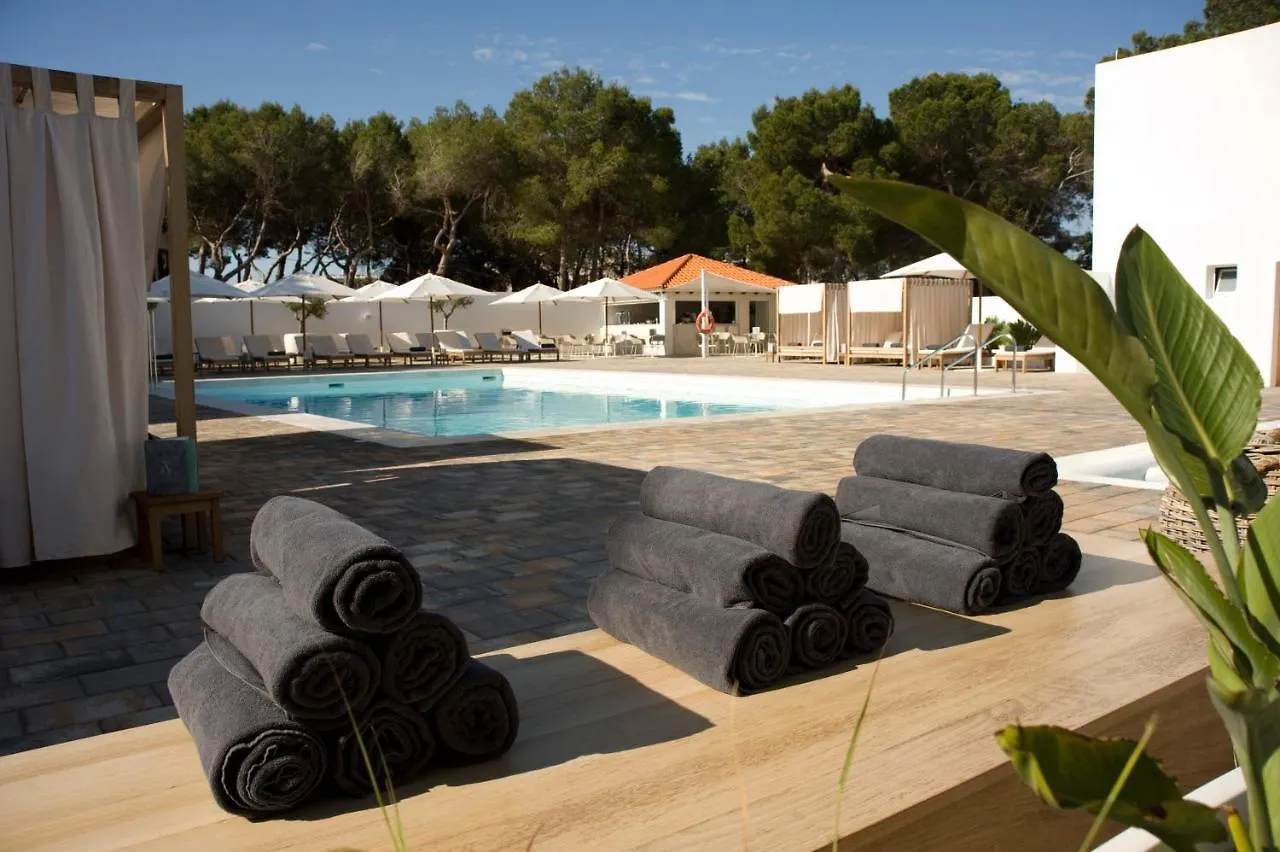 Hotel Anfora Ibiza Es Cana 4*,